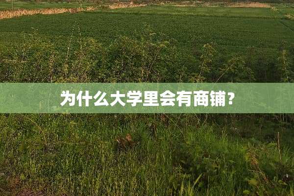 为什么大学里会有商铺？