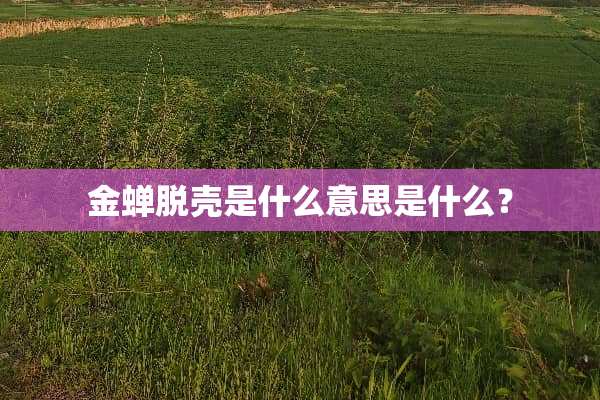 金蝉脱壳是什么意思是什么？