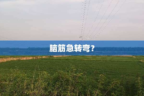 脑筋急转弯？