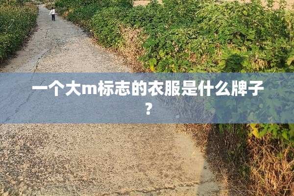 一个大m标志的衣服是什么牌子？