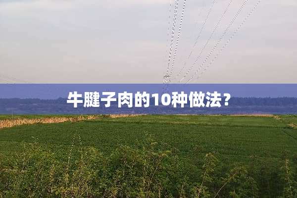 牛腱子肉的10种做法？