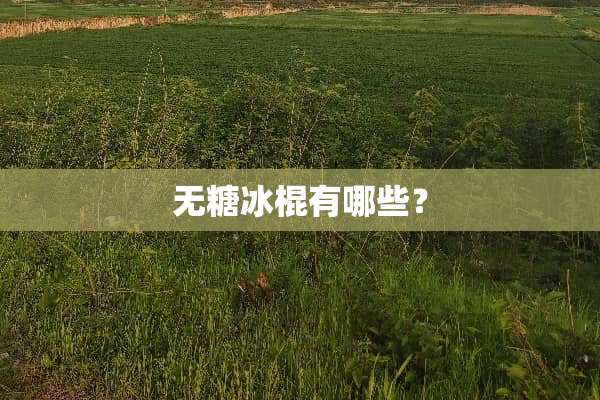 无糖冰棍有哪些？