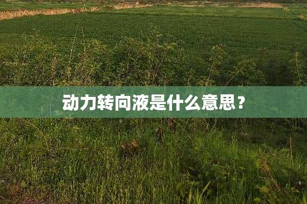 动力转向液是什么意思？