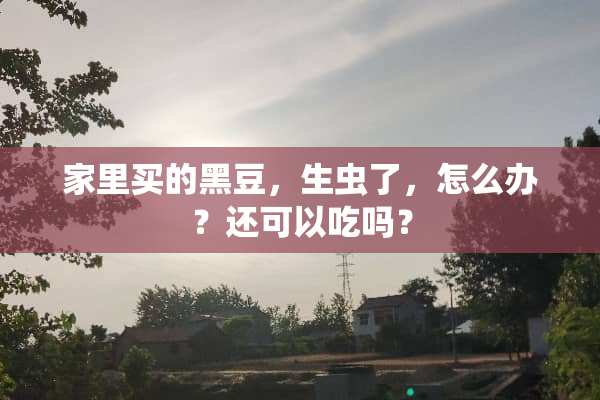家里买的黑豆，生虫了，怎么办？还可以吃吗？