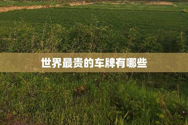 世界最贵的车牌有哪些