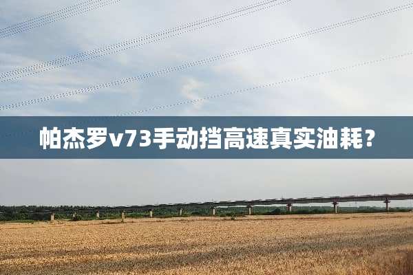 帕杰罗v73手动挡高速真实油耗？