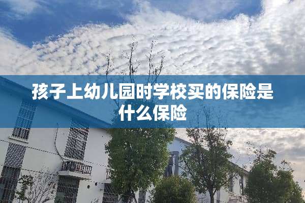 孩子上幼儿园时学校买的保险是什么保险
