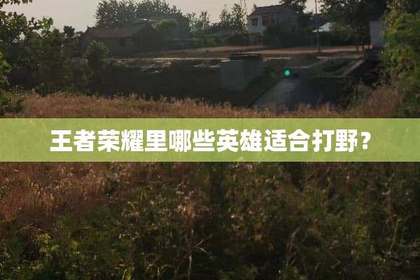 王者荣耀里哪些英雄适合打野？