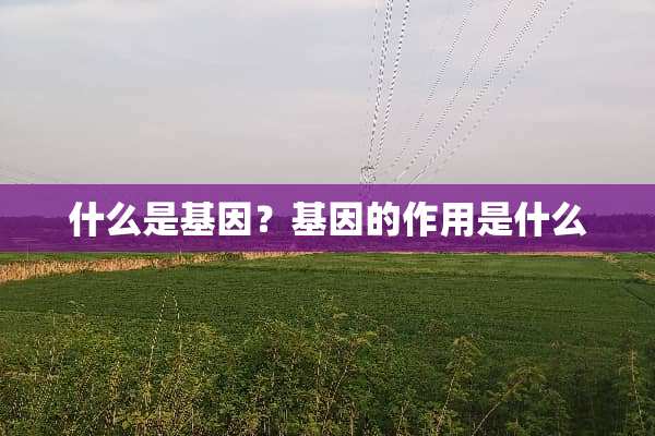 什么是基因？基因的作用是什么