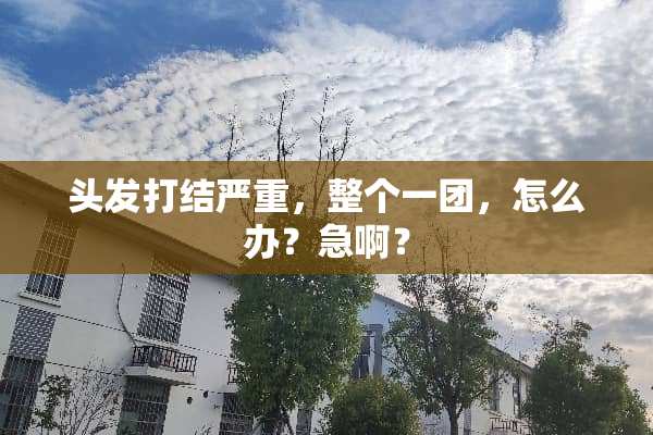 头发打结严重，整个一团，怎么办？急啊？