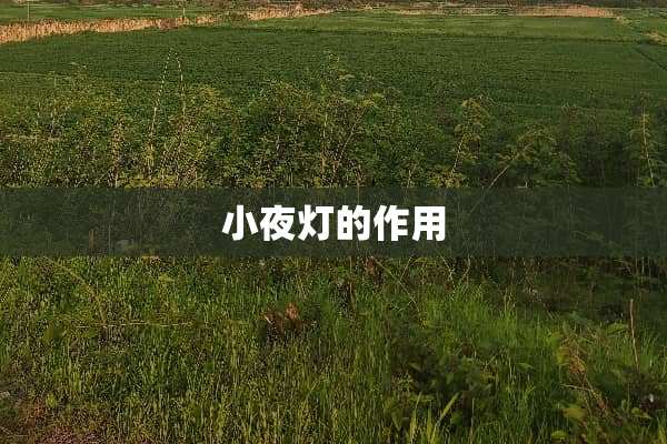 小夜灯的作用