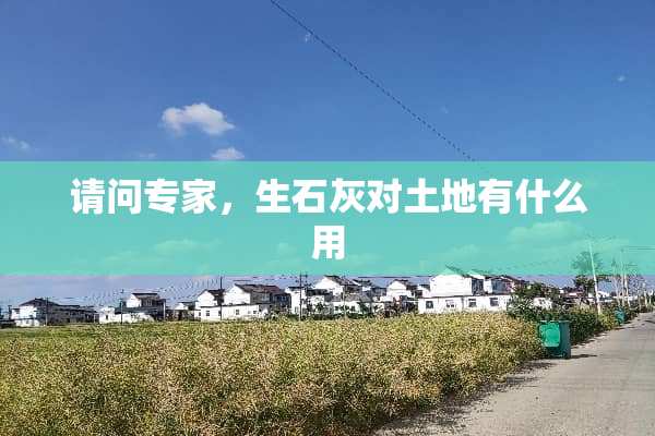 请问专家，生石灰对土地有什么用
