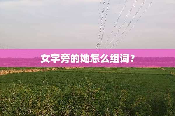 女字旁的她怎么组词？
