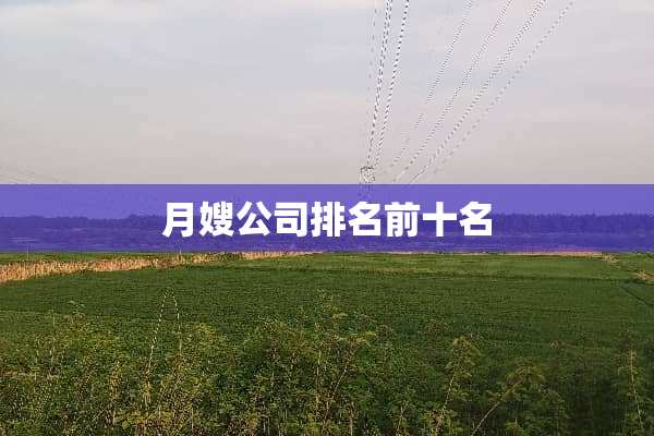 月嫂公司排名前十名