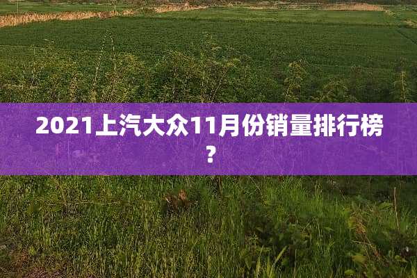 2021上汽大众11月份销量排行榜？