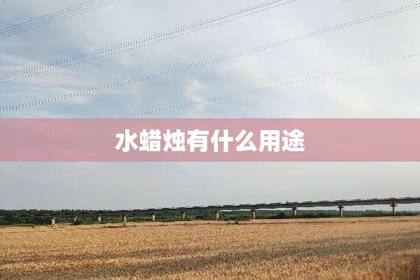 水蜡烛有什么用途