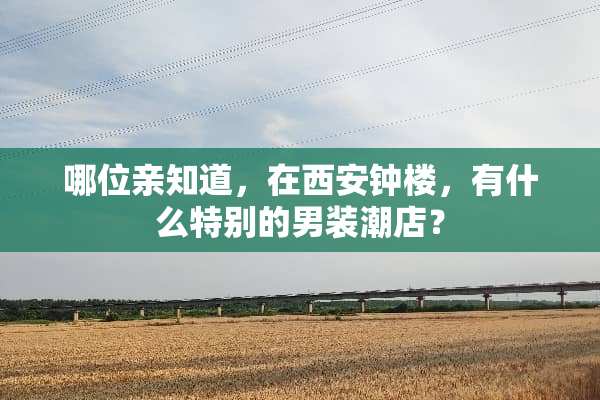 哪位亲知道，在西安钟楼，有什么特别的男装潮店？