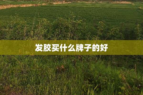 发胶买什么牌子的好