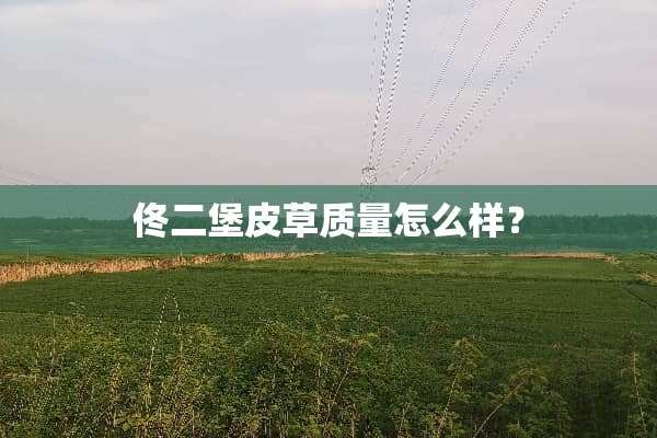 佟二堡皮草质量怎么样？
