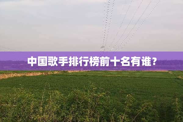 中**手排行榜前十名有谁？