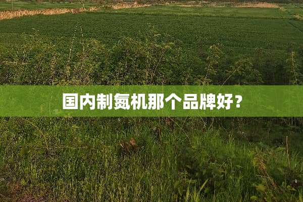 国内制氮机那个品牌好？
