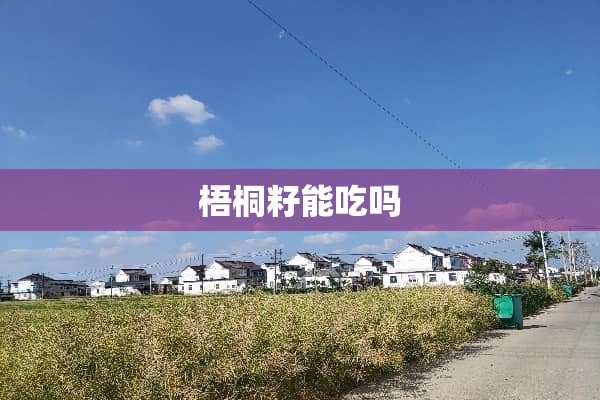 梧桐籽能吃吗