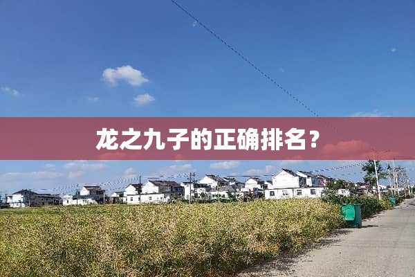 龙之九子的正确排名？