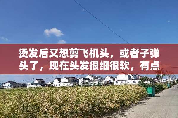 烫发后又想剪飞机头，或者子弹头了，现在头发很细很软，有点卷，适合剪吗？