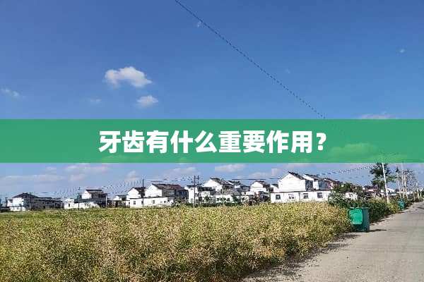 牙齿有什么重要作用？