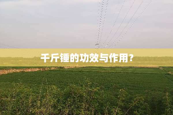 千斤锤的功效与作用？
