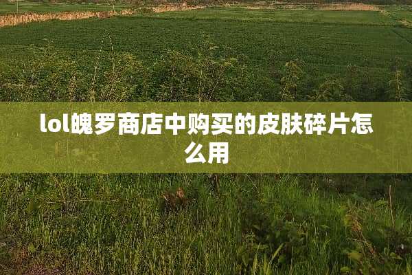 lol魄罗商店中购买的皮肤碎片怎么用