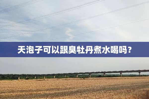 天泡子可以跟臭牡丹煮水喝吗？