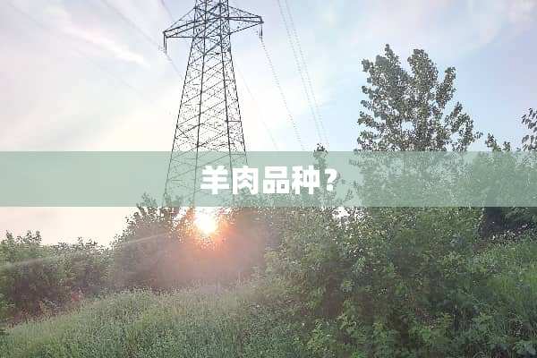 羊肉品种？