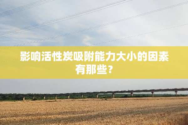 影响活性炭吸附能力大小的因素有那些？