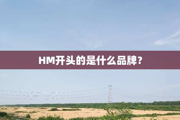 HM开头的是什么品牌？