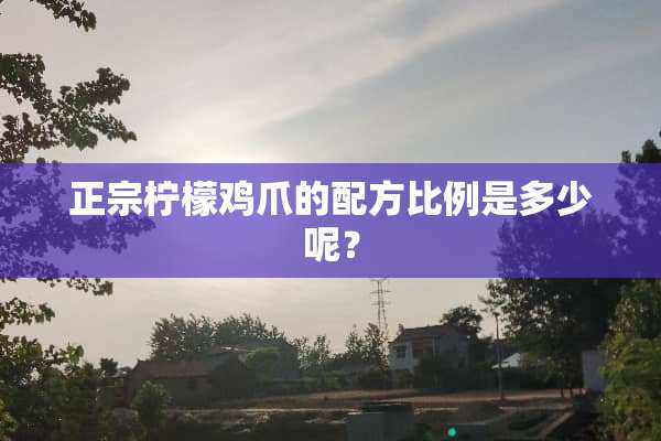 正宗柠檬鸡爪的配方比例是多少呢？