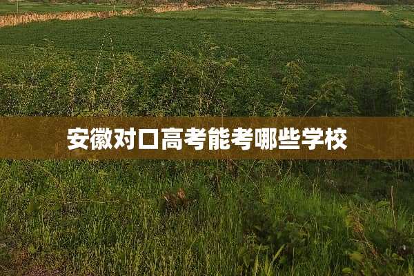 安徽对口高考能考哪些学校