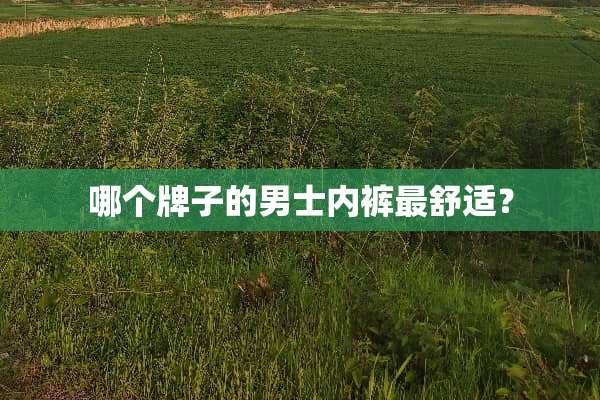 哪个牌子的男士**最舒适？