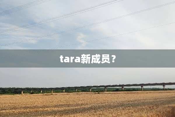 tara新成员？