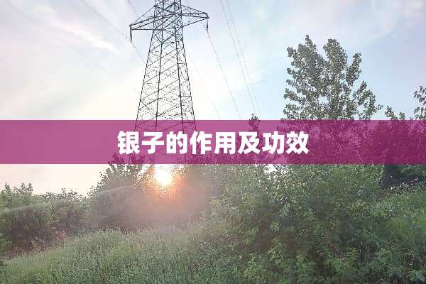 银子的作用及功效