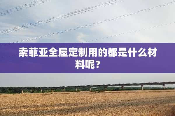 索菲亚全屋定制用的都是什么材料呢？
