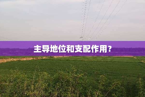 主导地位和支配作用？