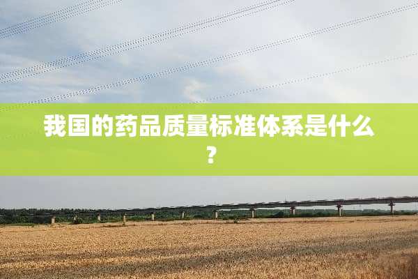 我国的药品质量标准体系是什么？