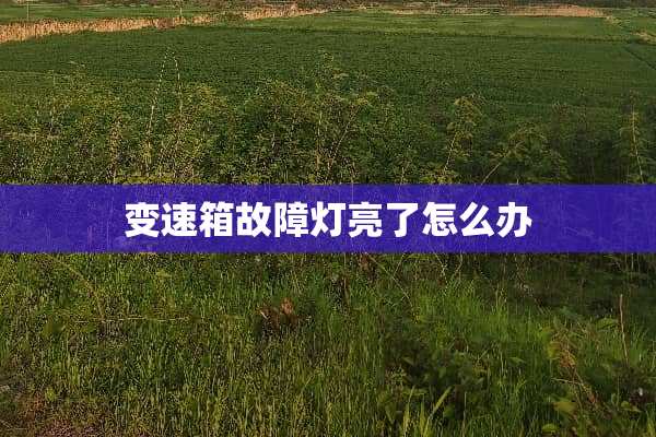 变速箱故障灯亮了怎么办