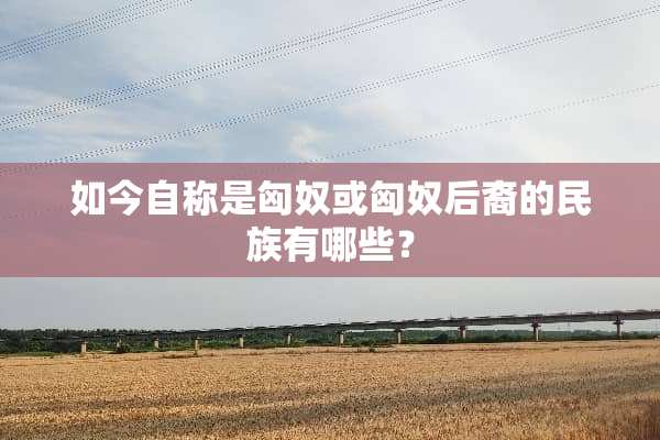 如今自称是匈*或匈*后裔的民族有哪些？