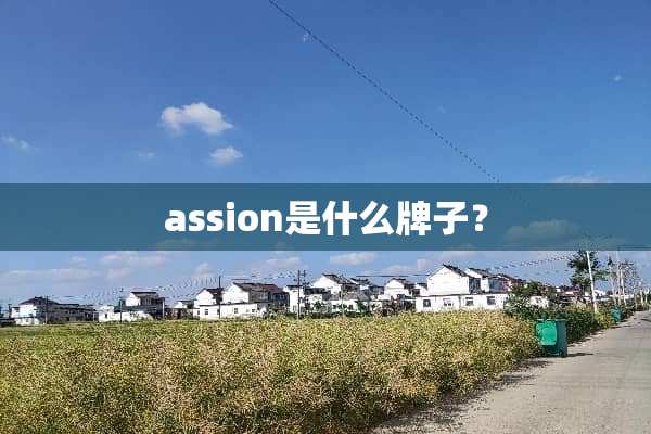 assion是什么牌子？