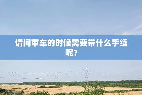 请问审车的时候需要带什么手续呢？