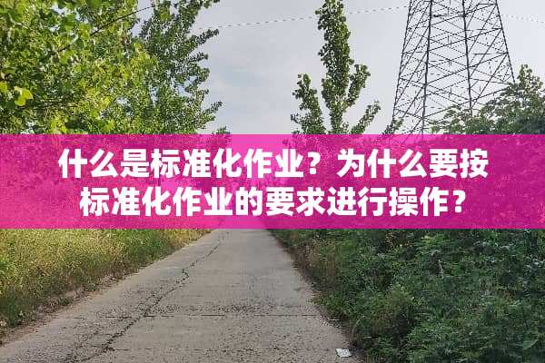 什么是标准化作业？为什么要按标准化作业的要求进行操作？