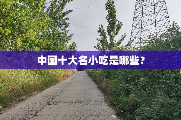 中国十大名小吃是哪些？