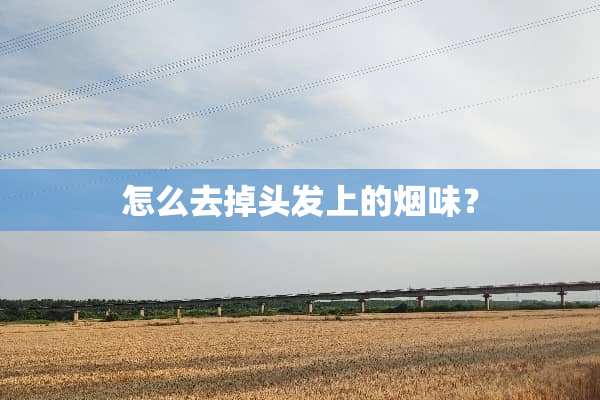 怎么去掉头发上的烟味？